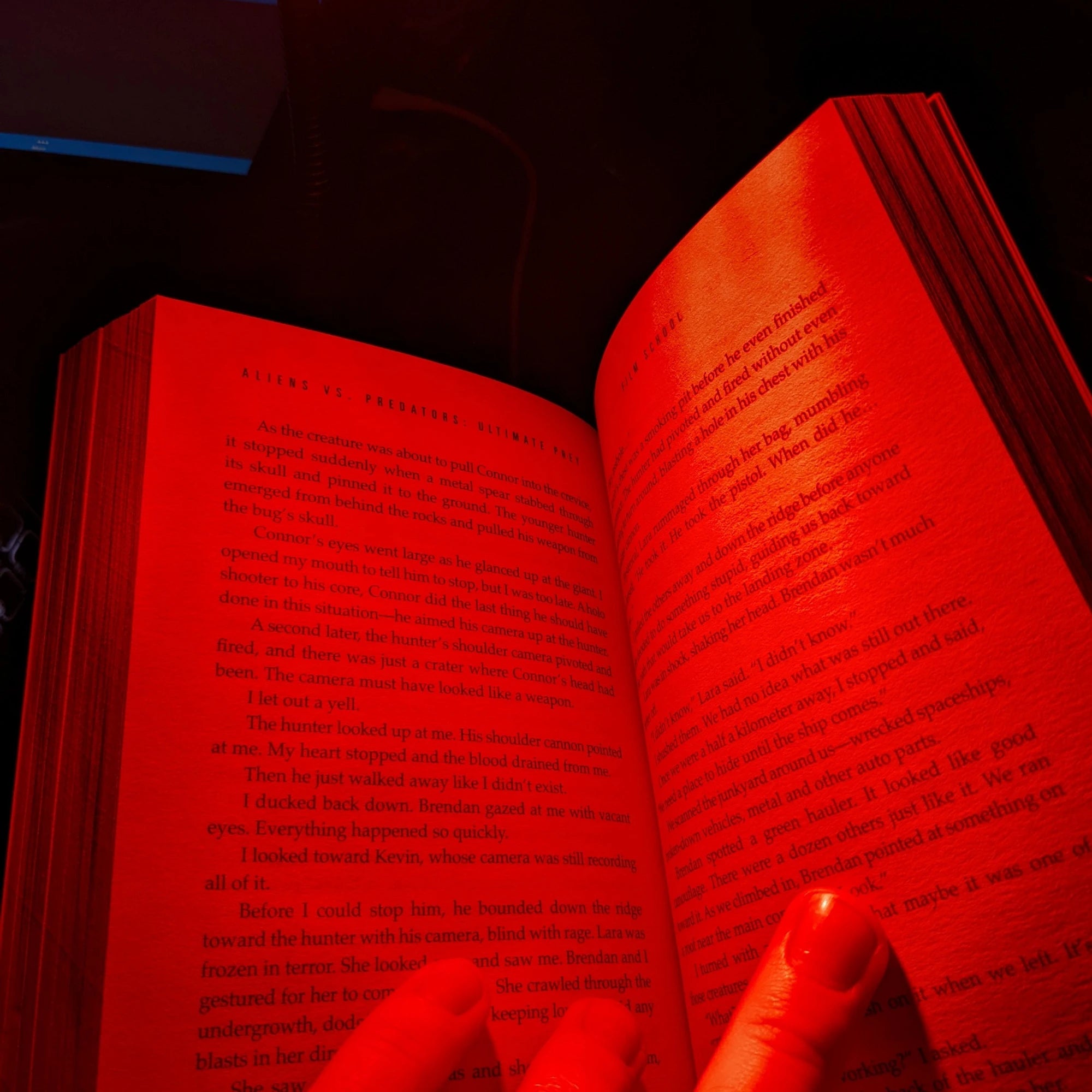 Rood Licht Leeslampje