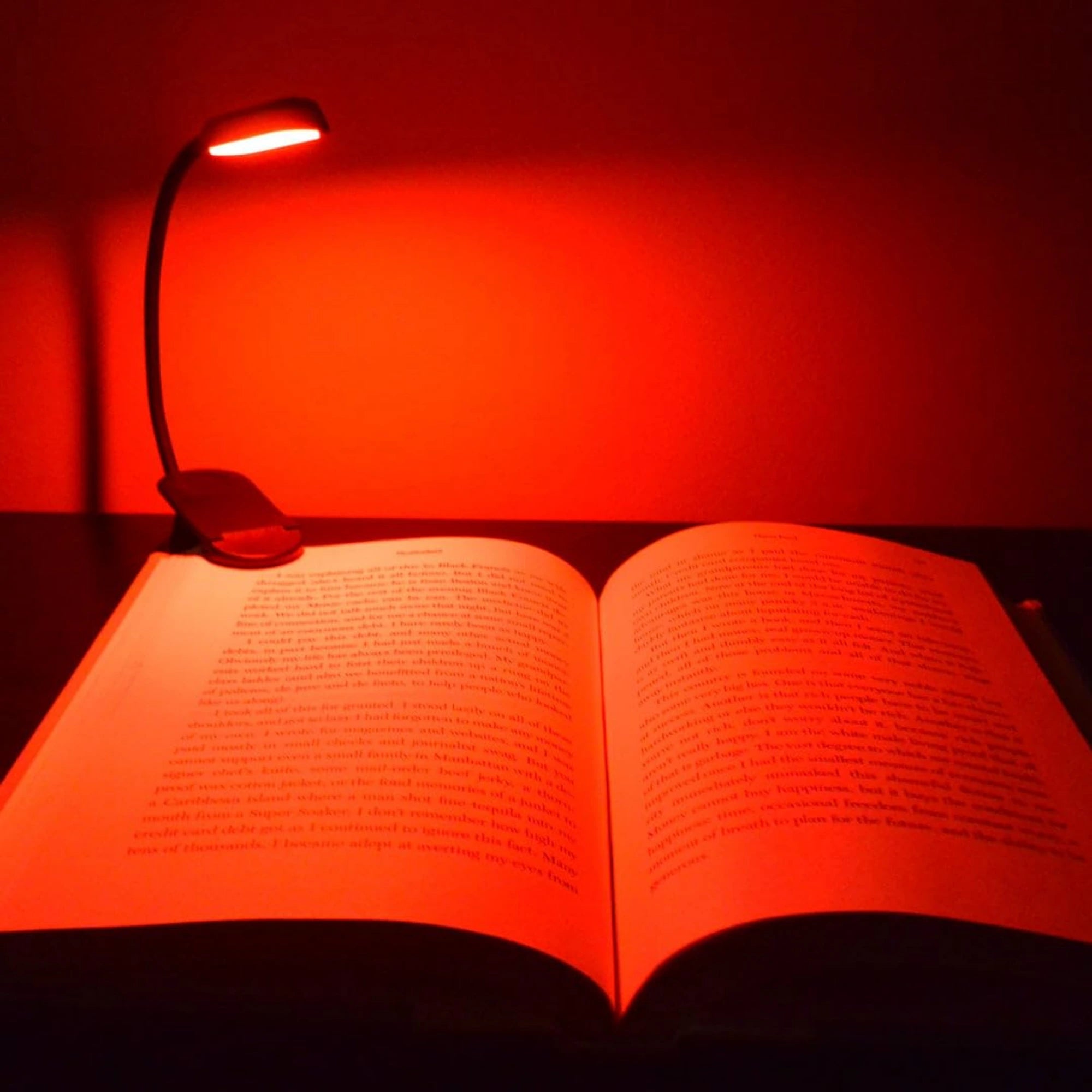 Rood Licht Leeslampje